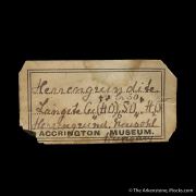 Devilline and Langite