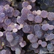 Quartz var. Grape Agate