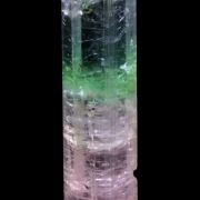 Elbaite Tourmaline with Achroite top