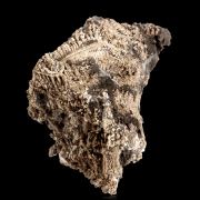 Silver on Native arsenic