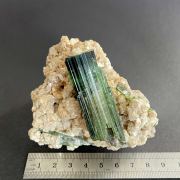 Tourmaline var. Elbaite, Lepidolite - Urubu Mine, Brazil