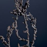 Copper - elongated spinel twin chains