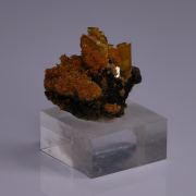 WULFENITE and MIMETITE - San Francisco Mine, Mexico