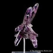 Quartz var. Amethyst (Romero Trophy winner)