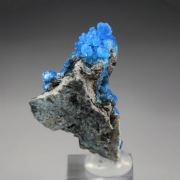 EVANSITE