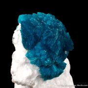 Cavansite on Mordenite