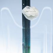 Elbaite with twinned Hydroxylherderite