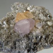 Fluorapatite and Scheelitte on Muscovite