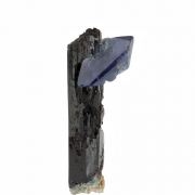 Benitoite on Neptunite