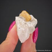 Fresnoite on Analcime