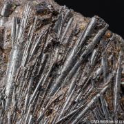 Cylindrite