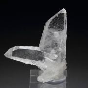 QUARTZ var. JAPAN LAW TWIN