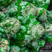 Olivenite, Conichalcite on Goethite after Calcite