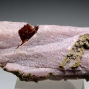 Rhodochrosite (R)