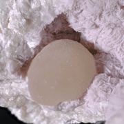 Bultfonteinite with Calcite and Tobermorite (Group)