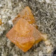 Scheelite with Quartz