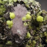 new find - CARLHINTZEITE, CREEDITE