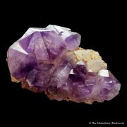 Quartz var. Amethyst on Quartz