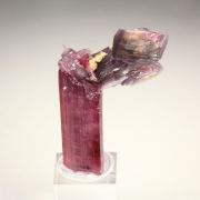 gem TOURMALINE var. ELBAITE, LEPIDOLITE