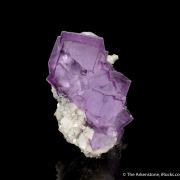 Fluorite with Calcite