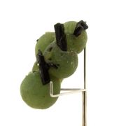 Prehnite + Epidote. 483.0 ct.