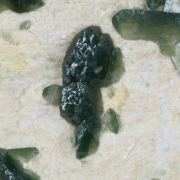 Hydroxylapatite on Microcline