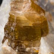Phlogopite