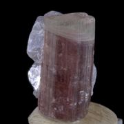 Elbaite (Rubellite) with Lepidolite