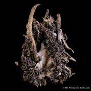 Silver (spinel-twinned)