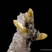 Mimetite on Cerussite
