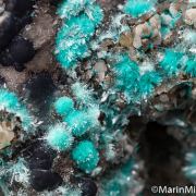 Smithsonite, Hemimorphite, Aurichalcite