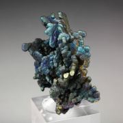 CHALCOCITE, DJURLEITE