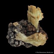 Paravauxite (Type Locality)