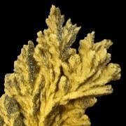 Baryte, pyrite POLAND