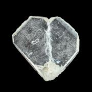 Quartz – Fairy Wings