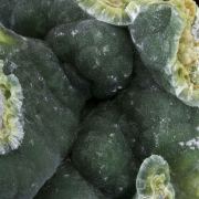 Wavellite