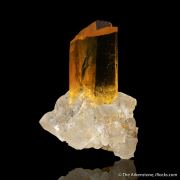 Gypsum (twinned) on Halite