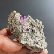 Amethyst - Las Vigas, Veracruz, Mexico