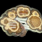 Baryte, marcasite
