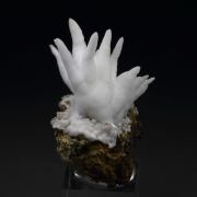 ARAGONITE var. FLOS FERRI