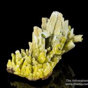 Plumbogummite ps Pyromorphite