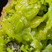 Pyromorphite