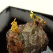 Native Gold. 9.95 ct.