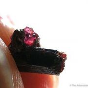 Painite With Gem Ruby