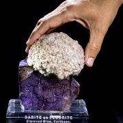Huge Elmwood Barite Ball on Fluorite