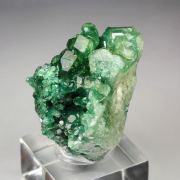 very rare -  GARNET var. GROSSULAR var. CHROMIAN, VESUVIANITE var. CHROMIAN