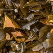 Chalcopyrite and Siderite