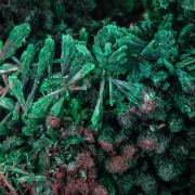 Malachite