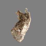 Native Lead