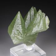BERYL